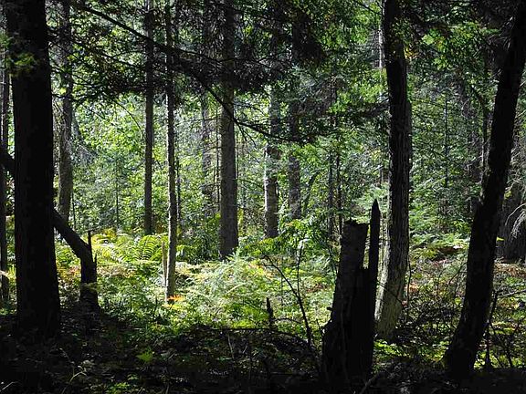 2nd image of 0 W 50th Rd