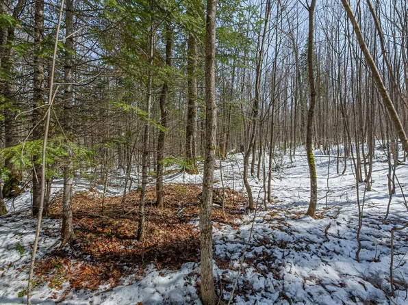 56/- Ac Hwy #77, Upson, WI 54565