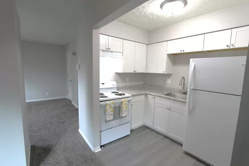 Great location and beautiful updates. Pet friendly one bedroom in Bellevue. Photo 1
