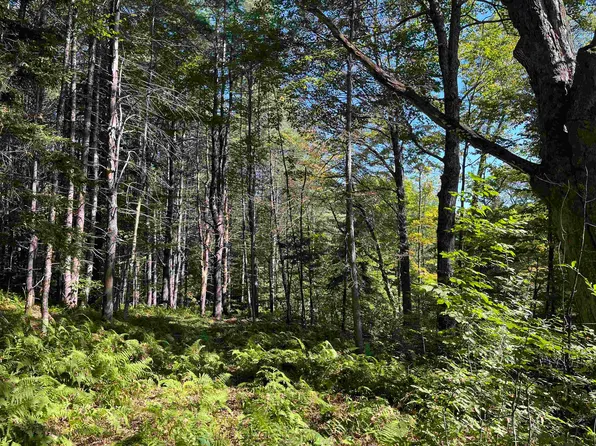 0 Chaos Turnpike, Cavendish, VT 05142