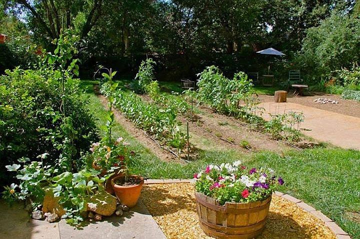 The backyard