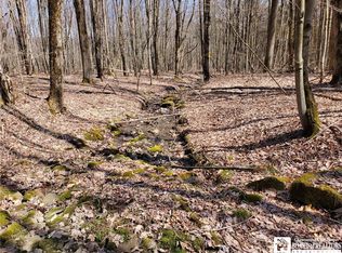 0 Beebe Hill Rd, Cuba, NY 14727