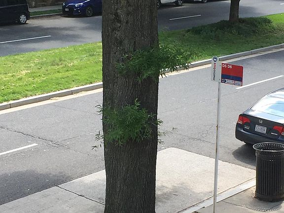 5th image of 5142 Macarthur Blvd NW APT 204