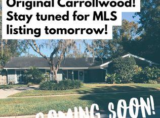 11709 Lipsey Rd, Tampa, FL 33618