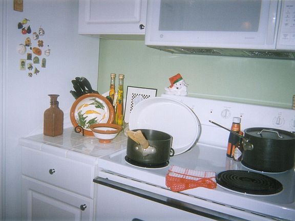 Newer Appliances