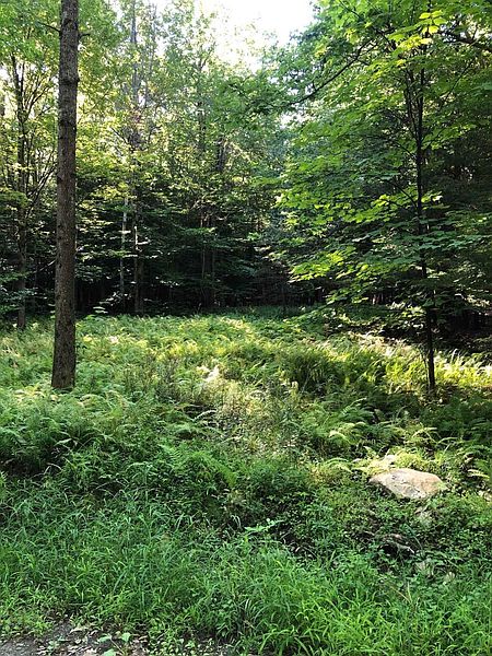 4th image of 0 FIRE TOWER Road