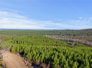 LOT 96 96, Broken Bow, OK 74728