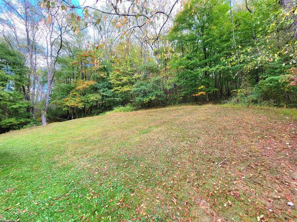 3818 Little Sandy Rd, Bruceton Mills, WV 26525