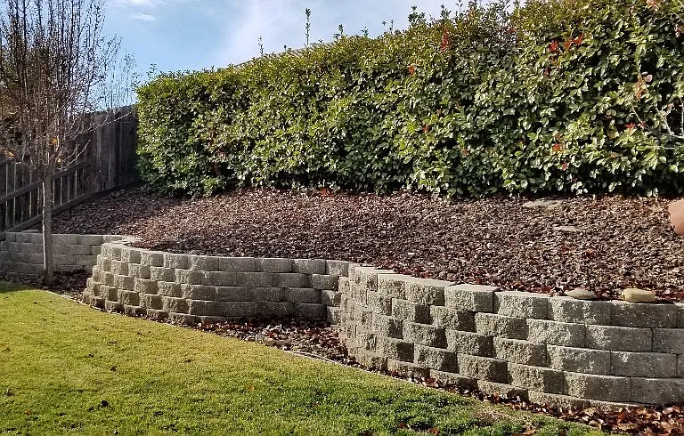 12015 Country Garden Dr — Photo 3