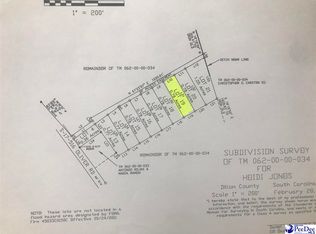 19 Heidi Ln, Hamer, SC 29547