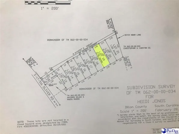 19 Heidi Ln, Hamer, SC 29547
