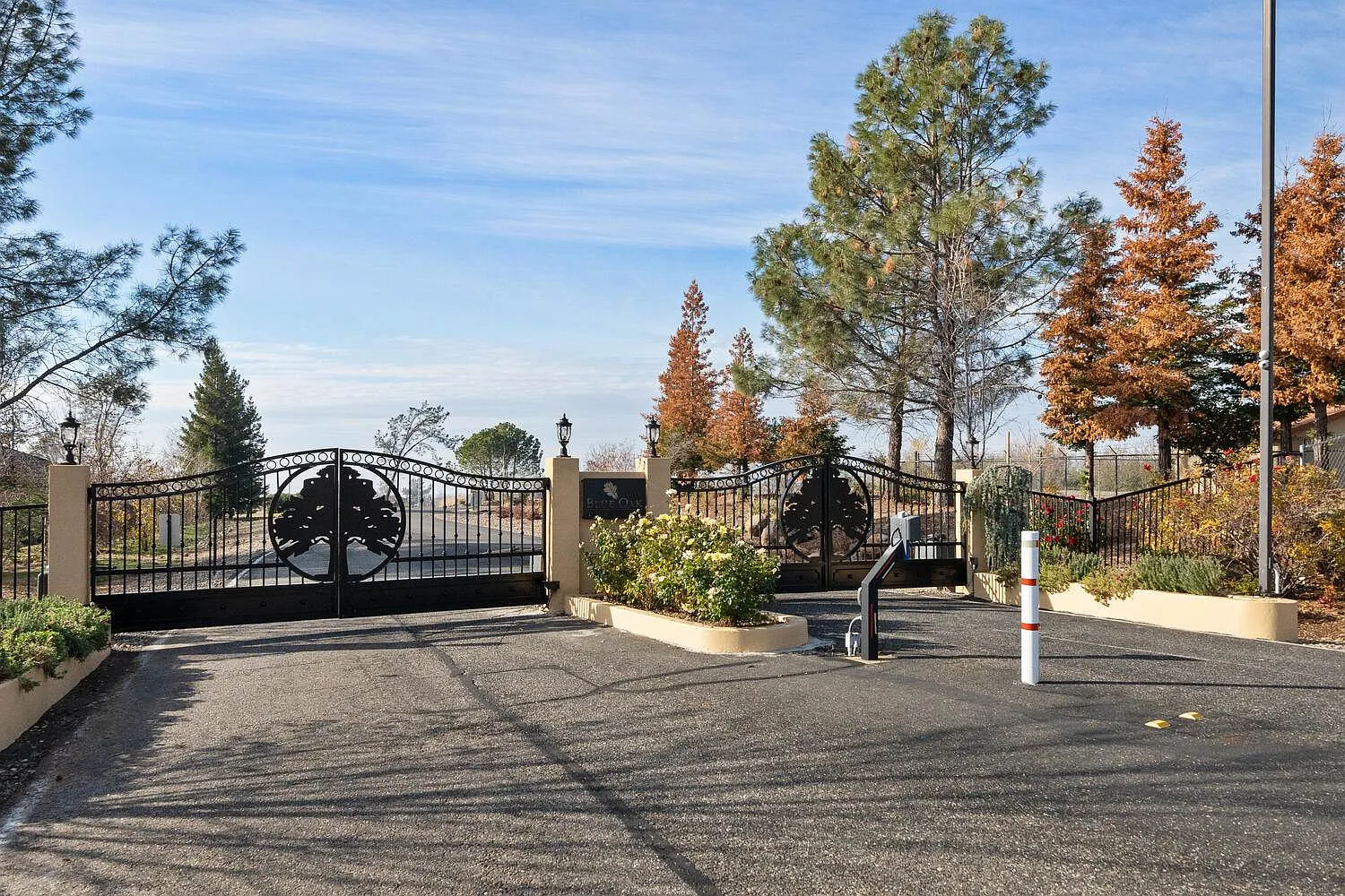 19 Tuscan Dr photo 1