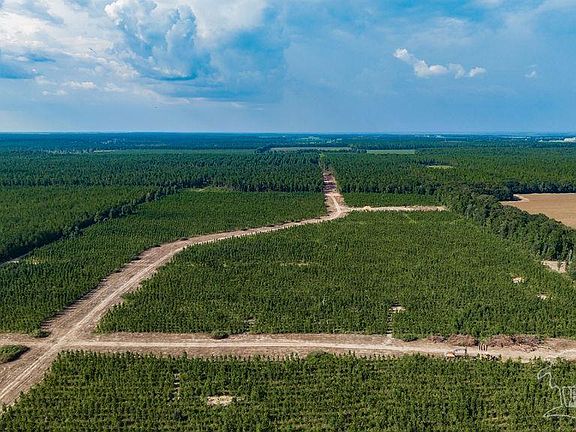 2nd image of LOT 92 Posie Forest Rd