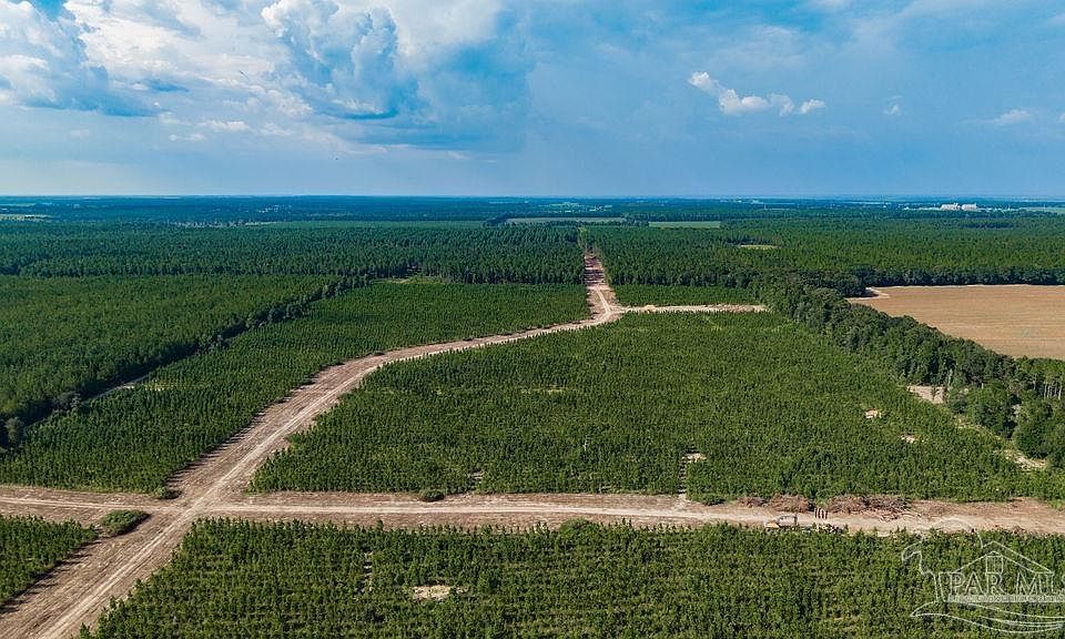 1st image of LOT 87 Posie Forest Rd