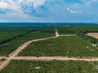 LOT 87 Posie Forest Rd, Milton, FL 32570