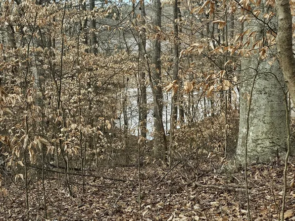 0 Rue Chalet, Lavonia, GA 30553