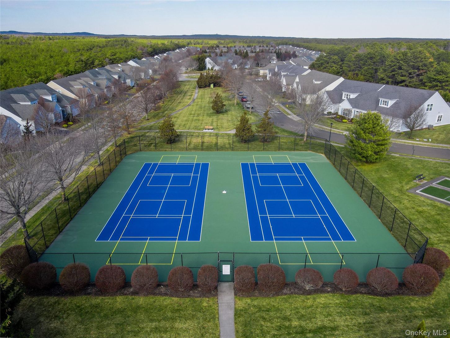  Enjoy World Class Tennis