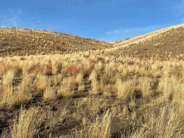S Of Pine Nut Rd, Gardnerville, NV 89410