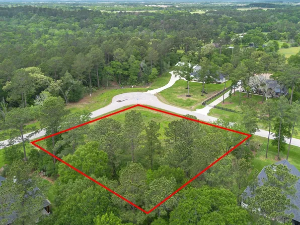 8224 Cedar Trails Ln, Plantersville, TX 77363