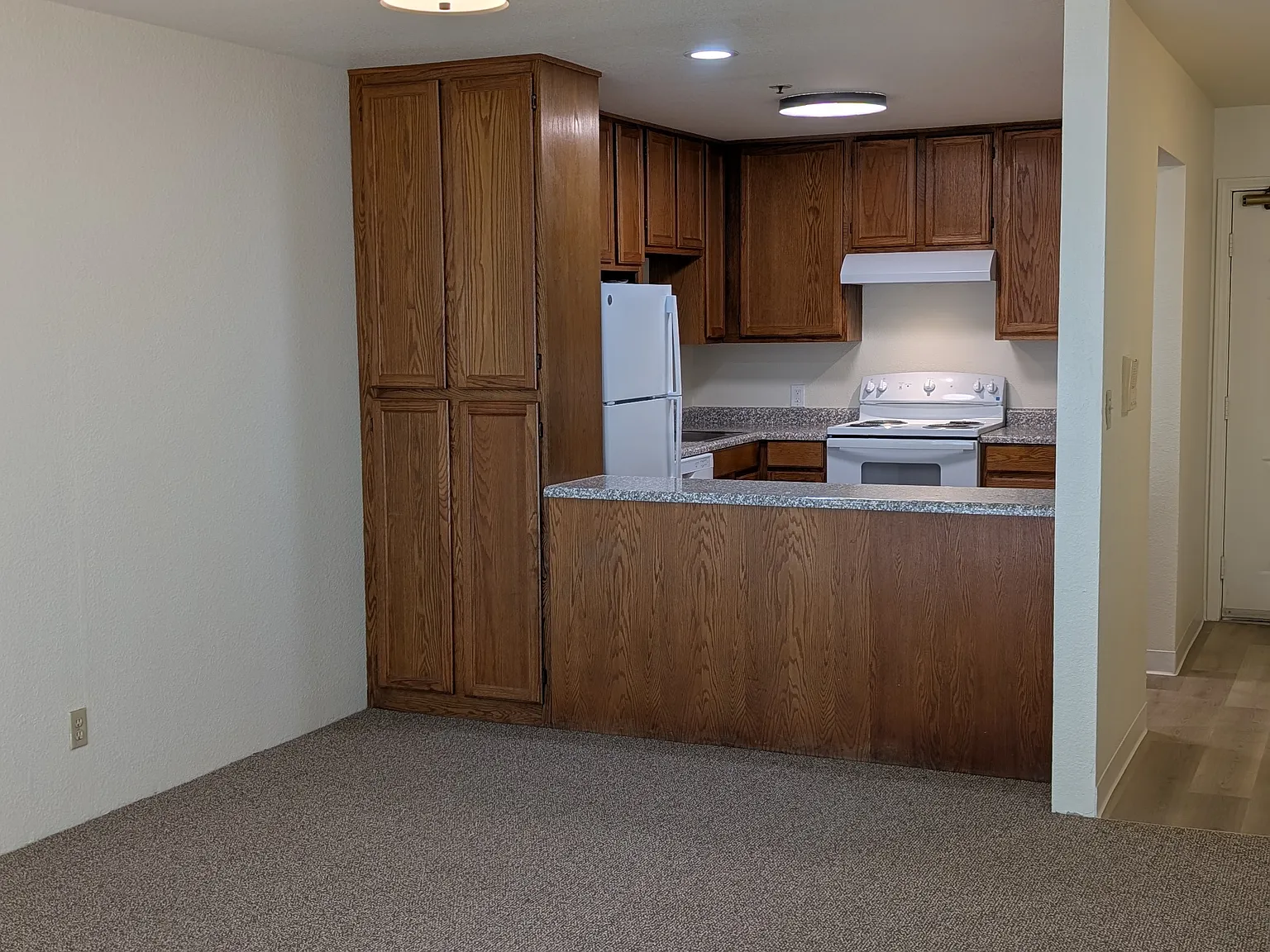 455 Alida Way — Photo 1