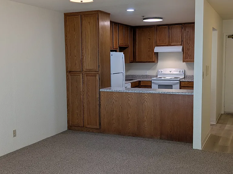 455 Alida Way — Photo 1