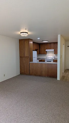 455 Alida Way Photo 1