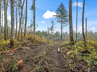 1809 208th Avenue SW, Lakebay, WA, 98349