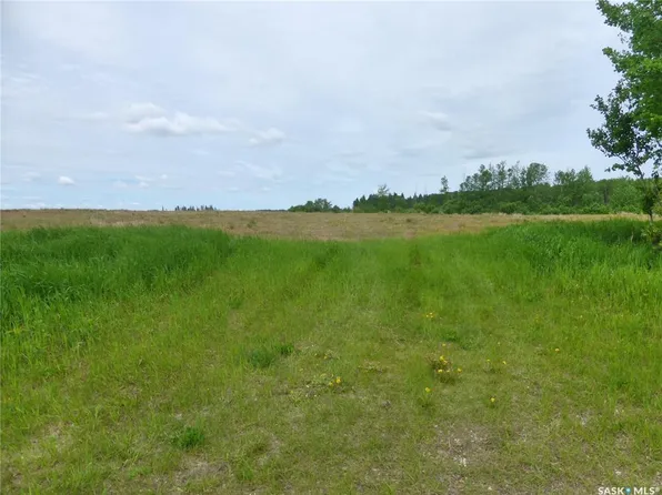  Rural Address, Mervin Rm No.499, SK S0M 2T0