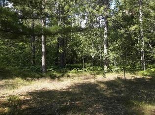 4582 Aloha Dr, Indian River, MI 49749
