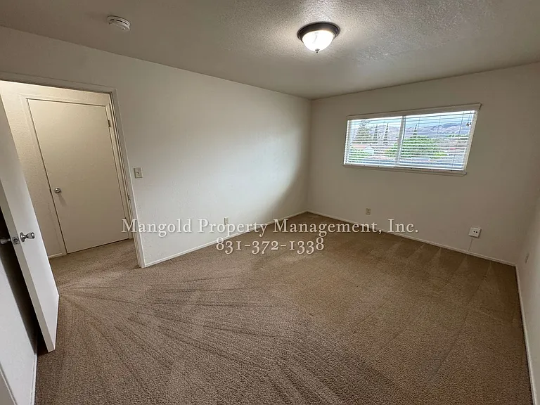 255four — Photo 6