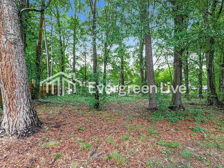 2107 Rosetta Rd — Photo 8