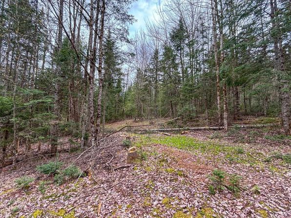 0 Atwood Road UNIT 3, Brighton, VT 05846