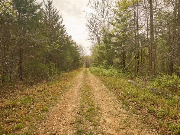 000 Thirteenth Road, Mountain Grove, MO 65711
