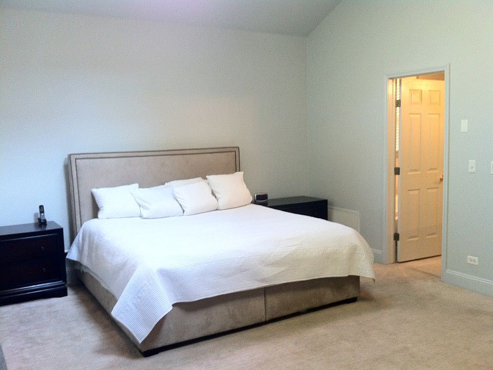 Master Bedroom w/skylights