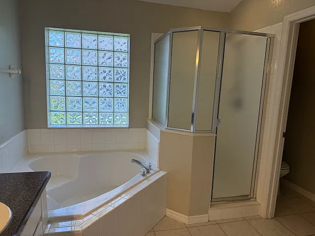 Master Bathroom Tub and Shower