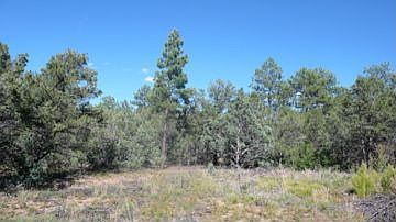 build your dream home here