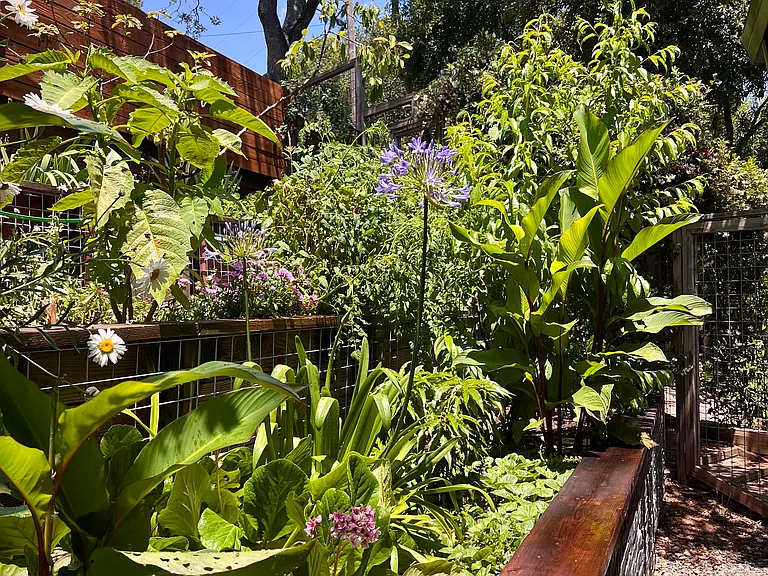 Garden view