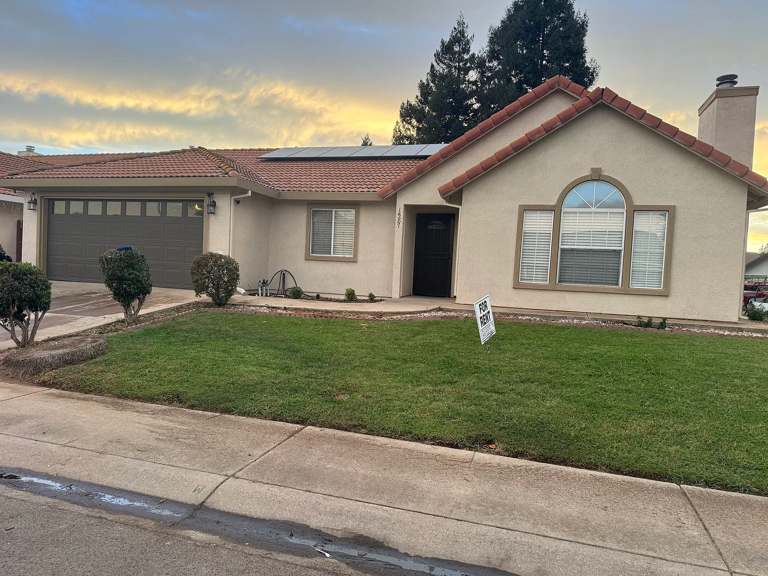 3 bed, 1565 sqft, $2,600 — Photo 4