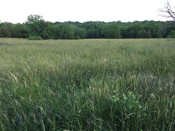 Front acres. Fenced off.