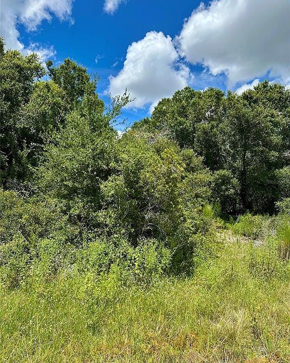 2nd image of CONSTITUTION DRIVE LOT 64