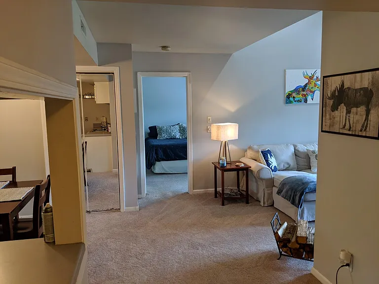 246 Hillsboro Pl — Photo 13