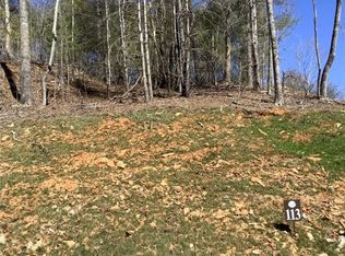 LOT 113 High River Rd, Ellijay, GA 30540
