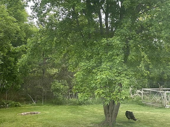 Large outdoor space with firepit and wildlife