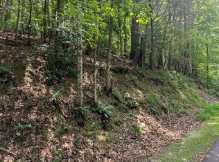 LOT P1 Goldmine Dr, Ellijay, GA 30536