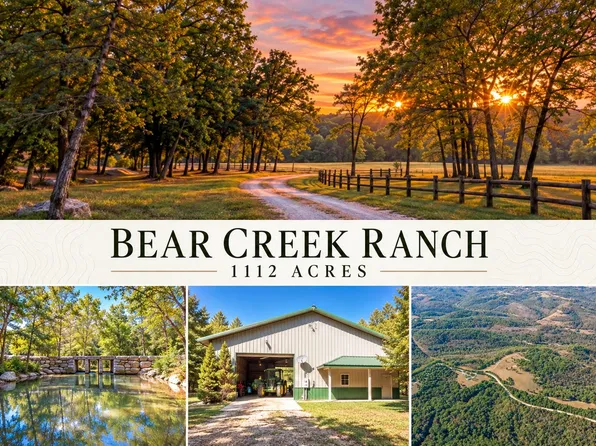 903 Reno Springs Road, Walnut Shade, MO 65771