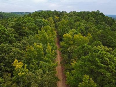 0 Camden Ln, Amity, AR, 71921