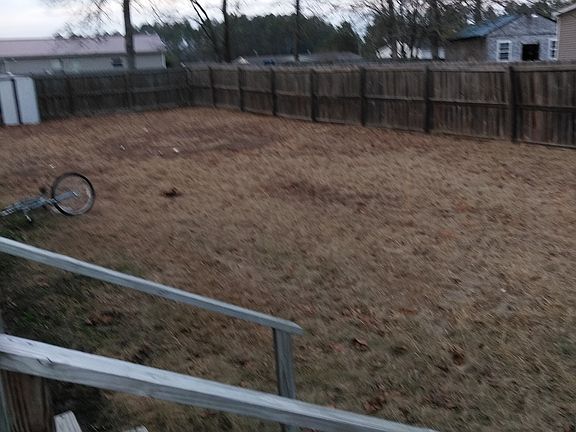Back yard