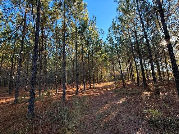 4th image of Truex Rd