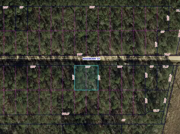 0 Naseberry St, Bay Saint Louis, MS 39520
