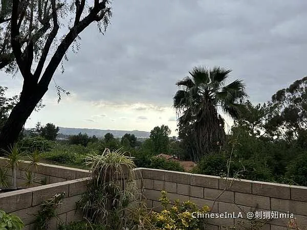 1827 Lanai St — Photo 12